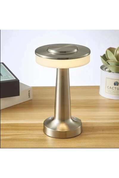 Choice1 مصباح مكتب معدني فضي قابل لإعادة الشحن عبر USB، مصباح طاولة محمول يعم...