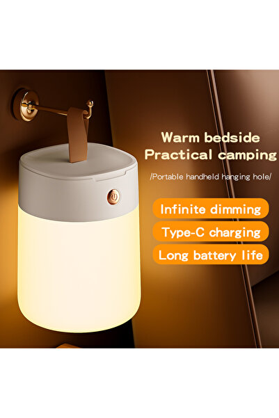 Choice Charging-White LED Night Light Type-C Table Lamps Rechargeable Dimmabl...