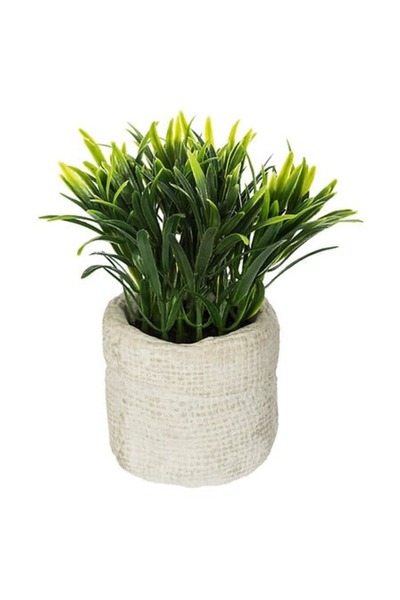 NN Planta verde decorativa in ghiveci de ciment, 14 cm, Multicolor