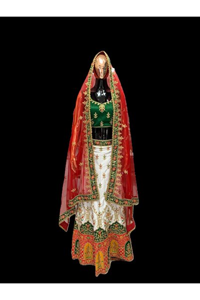 Aashiv's Collection ليهينغا