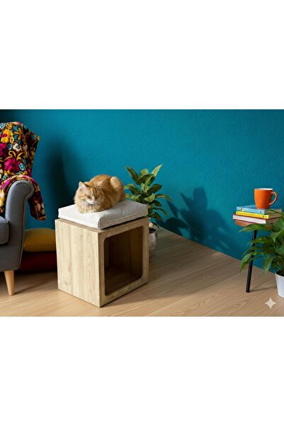 AYC HOUSE Taşınabilir Ahşap Kedi Evi | Dekoratif Minderli Kedi Kulübesi | 50x...