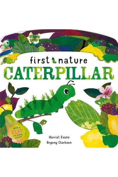Little Tiger Press الطبيعة الأولى: كاتربيلار