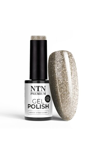 NTN Ημιμόνιμο βερνίκι νυχιών 169 Celebration