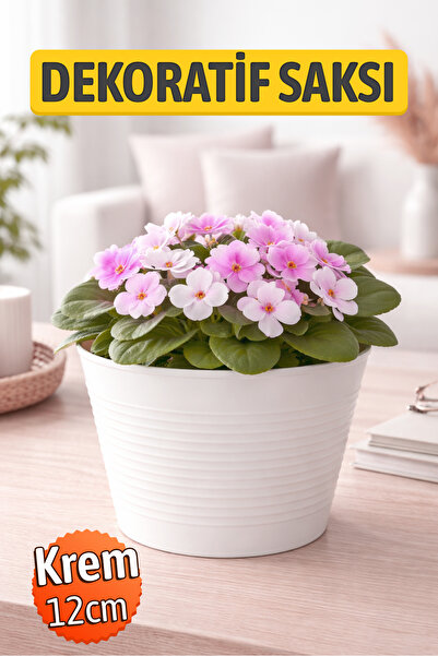 Badem10 (1 ADET) Krem Renk Kırılmaz Esnek Plastik Balkon Saksısı 12 CM Orkide...