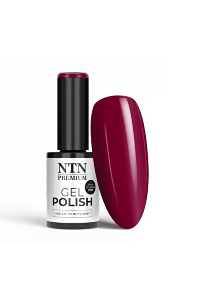 NTN Semi-Permanent Nail Polish 204 Passion For Love
