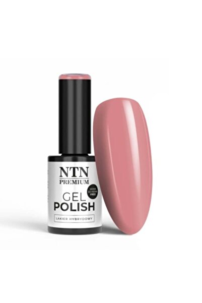 NTN Semi-Permanent Nail Polish 58 Day Dreaming