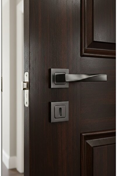 NİSAM AKS MR-19-12 ANTRASİT DEMET ROZETLİ KAPI KOLU