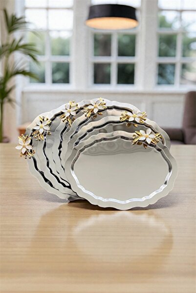 AHİR TİCARET Luxury 6 Pieces Daisy Accessories Oval Silver 20X25 Stainless St...