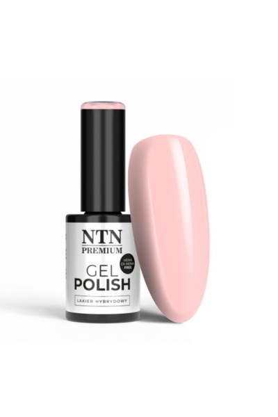 NTN Oja semipermanentă 159 Ambrosia