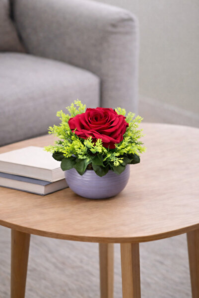 fesleğen çiçek Dekoratif Saksıda Yapay Kırmızı Gül Aranjmanı Masa Üstü Salon ...