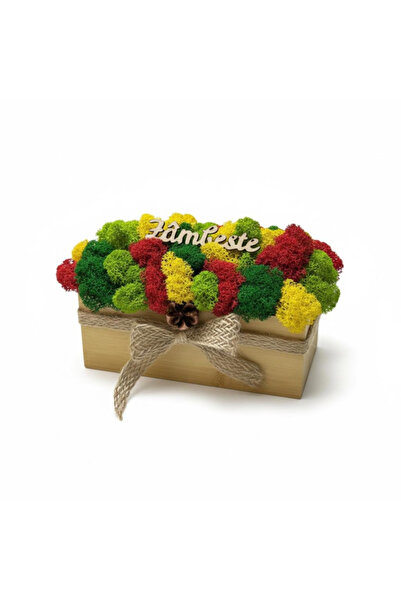 Eventissimi Decoration with stabilized natural lichens and motivational messa...