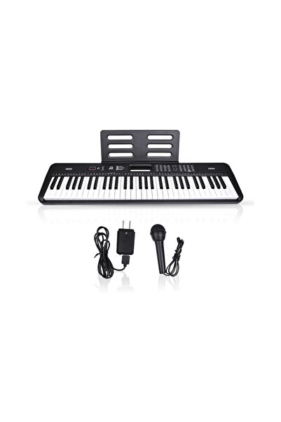 OEM Portable electronic organ with 61 keys, microphone and note holder