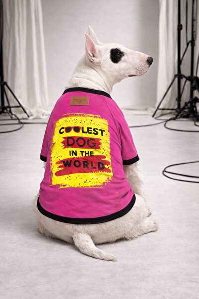 Alphadog Design Coolest Dog Köpek Tişörtü