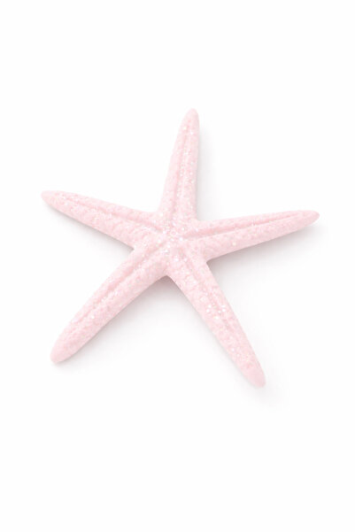Floray Design Açık Pembe Simli Deniz Yıldızı Figürlü Saç Tokası