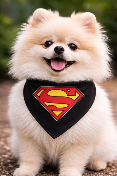 PetiliDünya Mix Köpek Scarf Cat Scarf (2-15 kg)