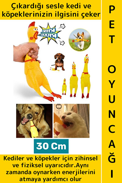 Wintoup لعبة للحيوانات الأليفة مثيرة للاهتمام، لعبة رمي الطاقة والنشاط البدني...