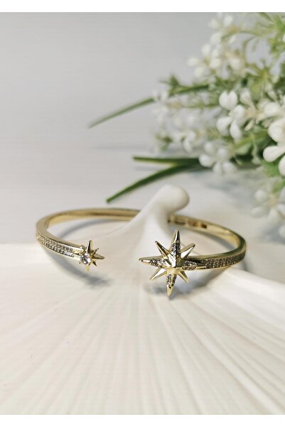 Halley Concept Double star figured zircon stone gold steel bracelet