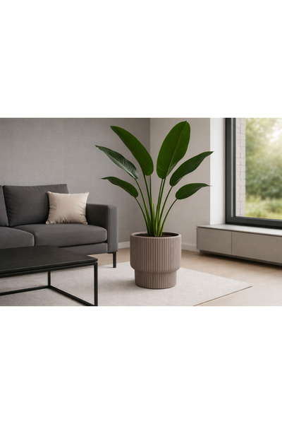 CANBOTANİK Vega Saksı Tırtıklı Model Büyük Boy Mocha Dekoratif Modern Saksı V...