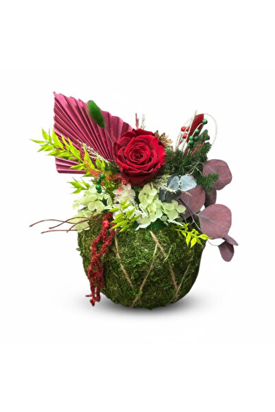 Eventissimi Moss arrangement, cryogenic rose and stabilized natural plants