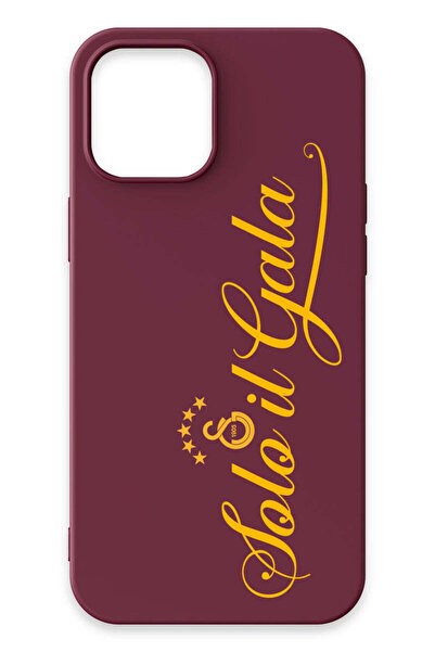 Galatasaray iPhone 12 Pro Max Uyumlu Solo il Gala Bordo Silikon Lisanslı Tele...