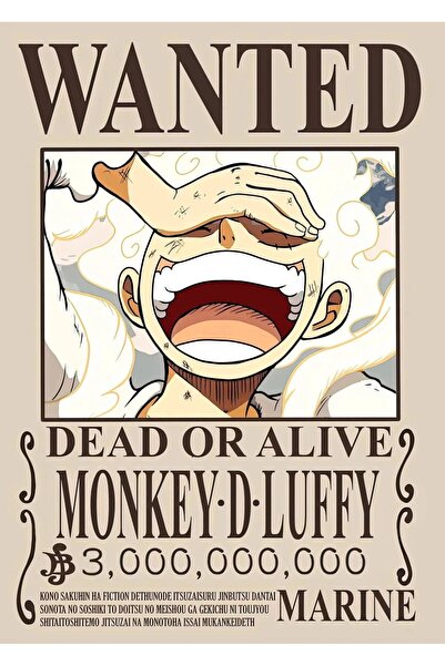 512 STORE One Piece Wanted Poster Çerçevesiz Kuşe Kağıt Poster Anime Serisi F...
