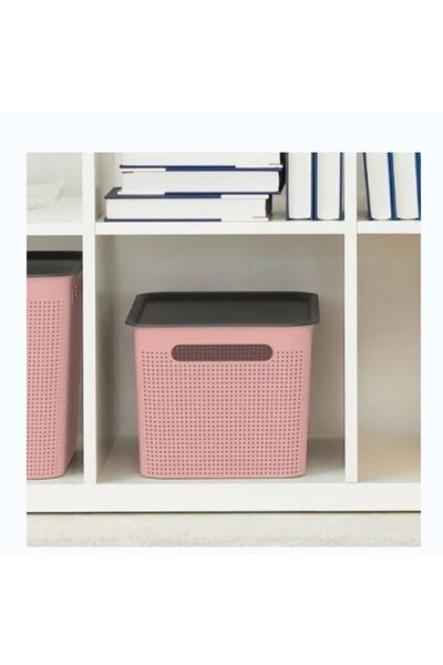 Rothoplast Organization box 18 letters.