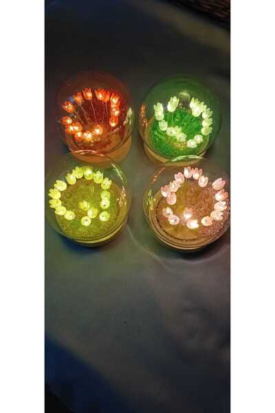 SAGA DEKORASYON & HEDİYELİK Işıklı Lale Cam Fanus