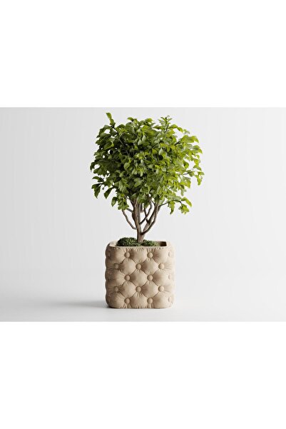 Sani Vase "Chesterra BIG" 136 x136 x H118mm - Matte sand beige