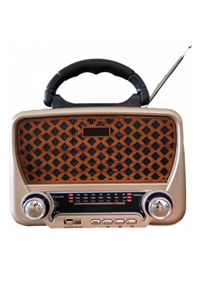 Denx DX2434 HI-FI 3-Band FM/AM Radio with Bluetooth, USB/TF Player – Compact ...