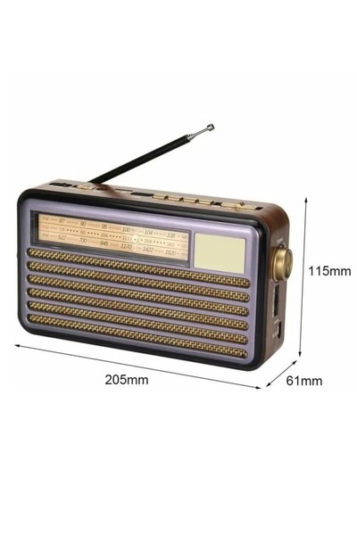 Primo Plus راديو Denx DX2436 المحمول القابل لإعادة الشحن AM/FM مزود بتقنية بل...