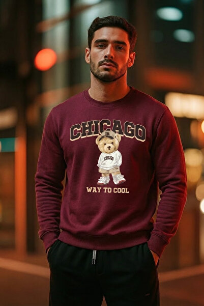 COMBİNE MİCHAİL Ανδρικό φούτερ με στάμπα αρκουδάκι σε χαλαρή γραμμή, μπορντό ...