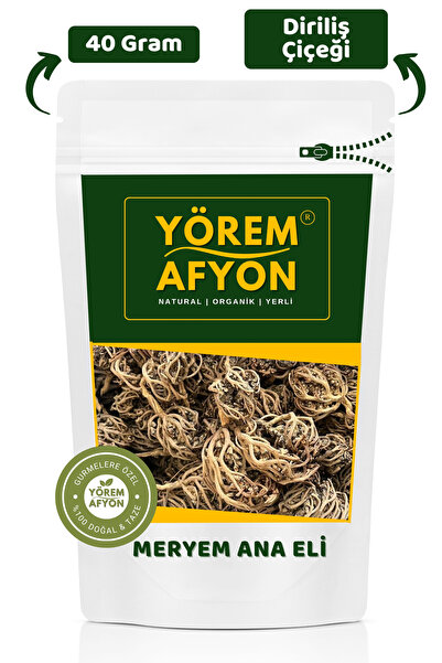 Gülçehre Suyla Hayat Bulan Kadim Mucize Meryem Ana Eli Otu, Fatma Ana, Dirili...