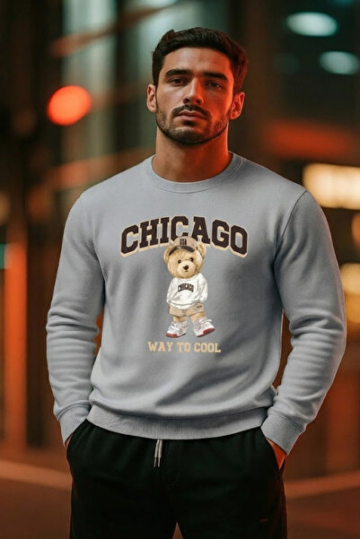 COMBİNE MİCHAİL Ανδρικό φούτερ με στάμπα αρκουδάκι σε γκρι χρώμα