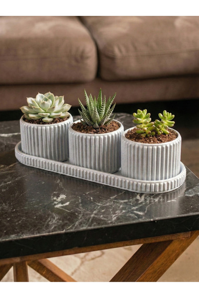 Maker Deha 3'lü Tepsili Sukulent ve Kaktüs Saksı Seti - Modern Fitilli Tasarı...