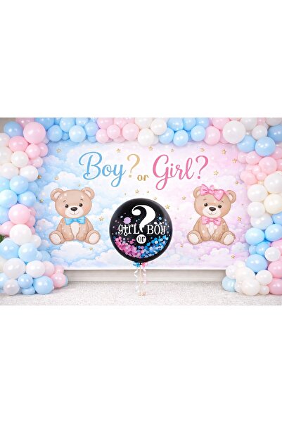 BKMC PARTY مجموعة زينة حفلات تحديد الجنس الفاخرة مع بالونات ورقية لتزيين الحفلات