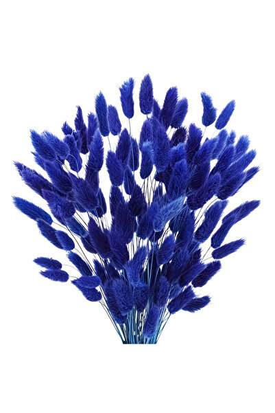 Dekora Çiçek باقة زهور جيلرُوس الزرقاء المجففة من عشب القطن بذيل الأرنب، 80 ف...