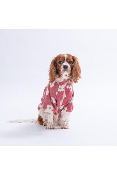 Pawstar Avenra Bloom Ceket Çiçek Desenli Batik Kedi Köpek Ceketi Kedi Köpek K...