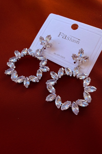 Marka Zircon Stone Circle Model Women's Earrings