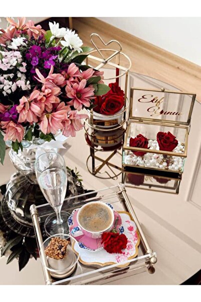 ozbience Şık Pleksi Kahve Sunum Borusu Kulp, Modern ve Zarif Tasarım