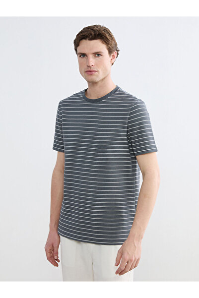 LC Waikiki Ανδρικό μπλουζάκι Anthracite Crew Neck με ρίγες