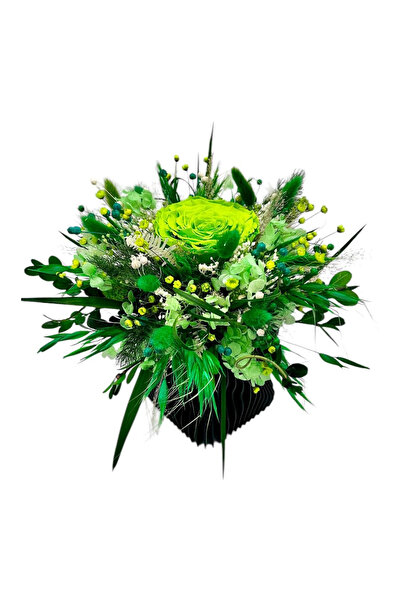 Eventissimi Floral arrangement, 9 cm, cryogenic & dried plants, ceramic pot, ...