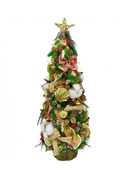 Eventissimi Brad Craciun, 50 cm, cu muschi, licheni si elemente naturale (Mul...