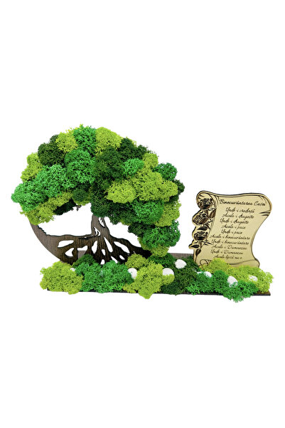 Eventissimi Aranjament cu licheni si "Binecuvantarea casei" (Verde)