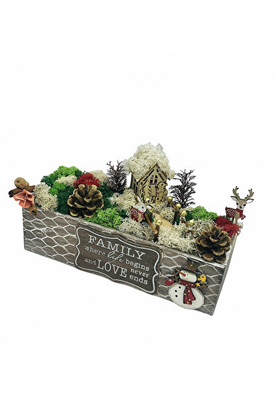 Eventissimi Aranjament floral, 8 cm, licheni stabilizați, vas ceramic, multic...