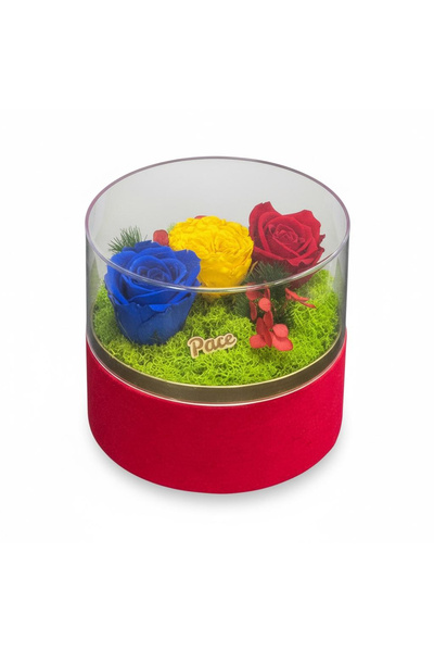 Eventissimi Aranjament tricolor cu trandafiri criogenati , in cutie catifea c...