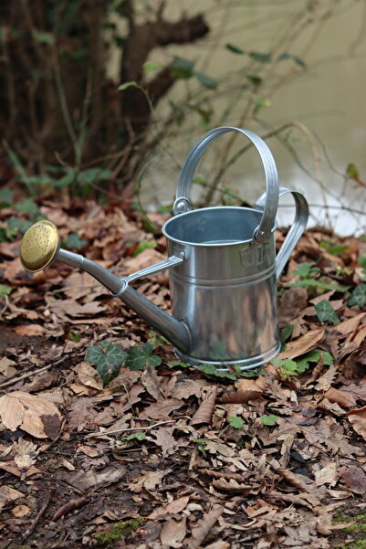 FMY HOME & GARDEN 1,5 Litre Galvaniz Paslanmaz Bahçe Sulama Kabı - İç ve Dış ...