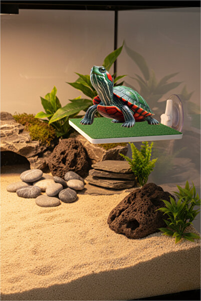 T×DEM Kaplumbaga Rampası Kaplumbağa Güneşlenme Platformu Su Seviyesinde Dinle...