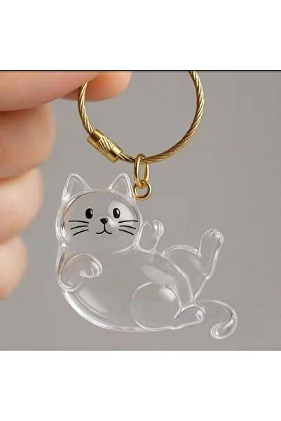 Choice Lying Cat Rakol New Transparent Pet Hair Storage Box Cat Hair Storage ...
