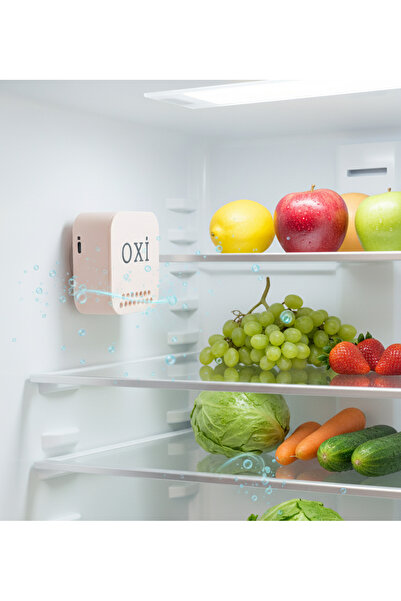 OXİ Akıllı araç buz dolabı hava temizleme koku giderici ozon dezenfeksiyon ci...