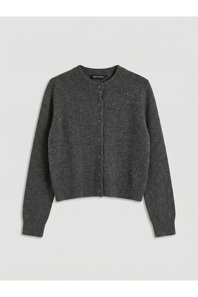 LC Waikiki Peak New Season Crew Neck Women's Knitwear Cardigan